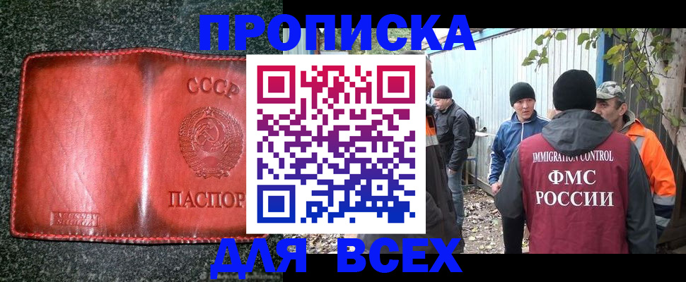временная регистрация поиск в Краснодаре